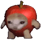 spinning apple cat